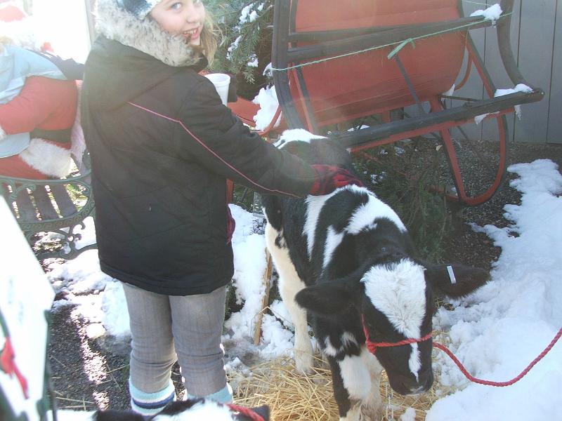 from_fuji_s5100 030.jpg